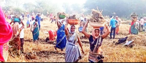 मनरेगा से 62 हजार श्रमिकों को मिला काम