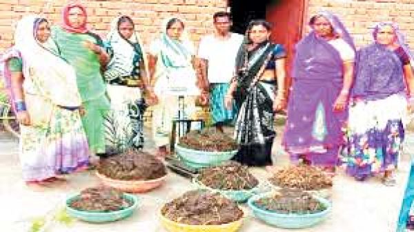 गोबर खरीदी बंद, 200 से ज्यादा का पौने 3 लाख बाकी