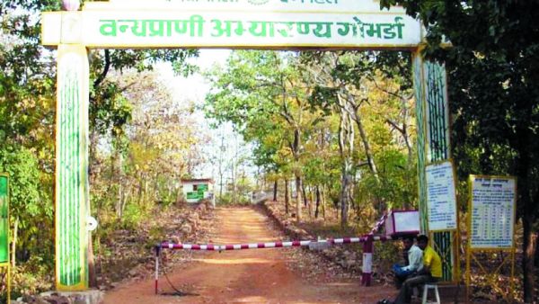 गोमर्डा अभ्यारण्य में हाथियों की  मौजूदगी, पर्यटकों पर प्रतिबंध