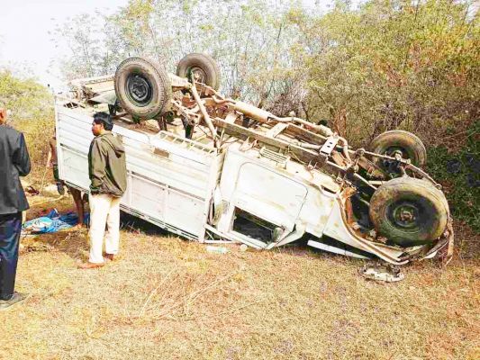 पिकअप पलटी, 7 मवेशियों की मौत