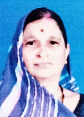 निजी जमीन पर कब्जा करने वाले राजेश अग्रवाल पर कार्रवाई की मांग- बेदमती पटेल