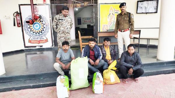 दो ट्रकों से 30 किलो गांजा जब्त