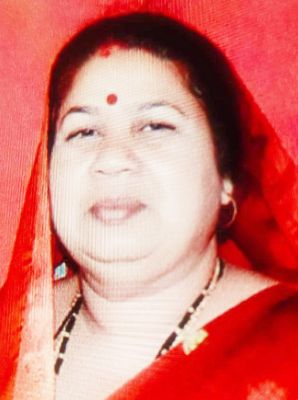स्थानापन्न चुनाव में सुलेखा बनी सरपंच