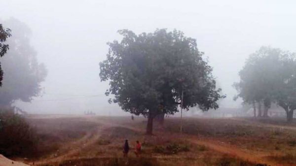 कड़ाके की ठंड, छाया घना कोहरा