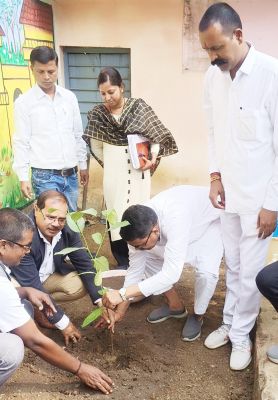 सांसद ने स्कूल में रोपे कटहल के पौधे