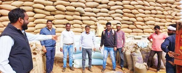 अवैध रूप से भण्डारित व परिवहन किए जा रहे 1142 बोरी धान जब्त