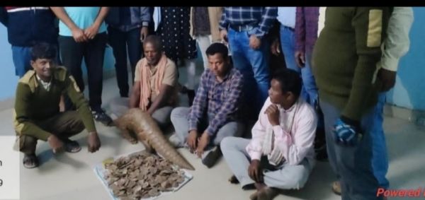 पैंगोलिन तस्करी, 3 गिरफ्तार