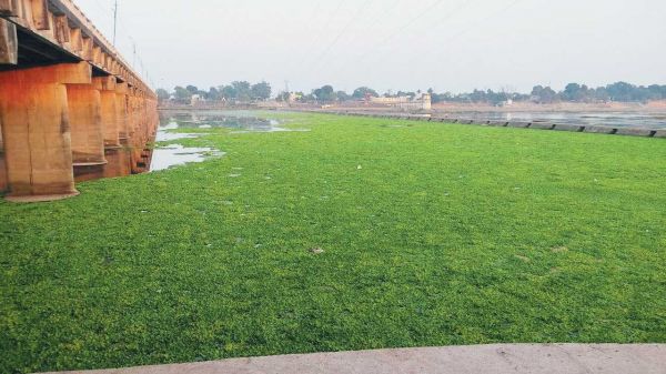 त्रिवेणी संगम की सफाई नहीं
