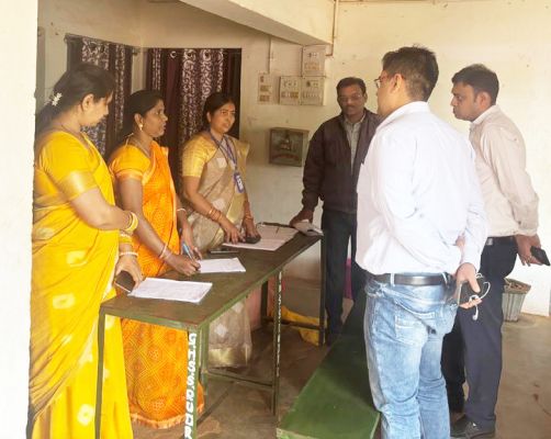 पुनरीक्षण कार्य की जांच