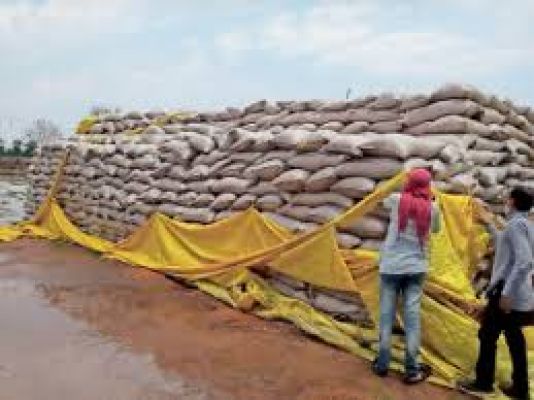 बेमौसम बारिश से खरीदी प्रभावित,  धीमी उठाव से केंद्रों में धान भीगा