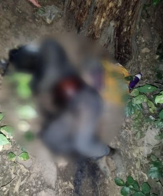 सडक़ किनारे मिली युवक की लाश