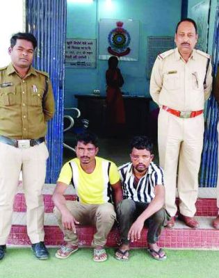पिकअप में मवेशियों को बूचडख़ाने ले जा रहे 2 आरोपी गिरफ्तार