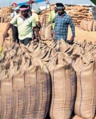 बीते साल का रिकॉर्ड टूटा, अधिक खरीदी