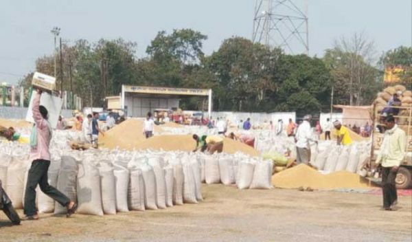 31 तक पूरा धान खरीदने खुले मैदान में की जा रही खरीदी