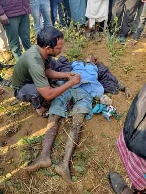 हाथी ने बुजुर्ग को कुचल मारा