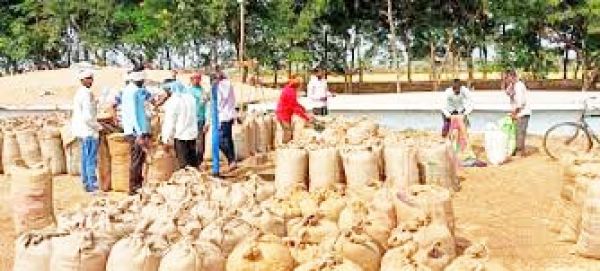 बलौदाबाजार: 1.56 लाख किसानों ने बेचा 87 लाख क्विंटल धान