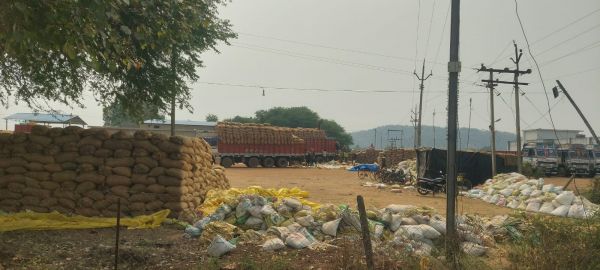 खराब मौसम से करोड़ों के धान पर मंडराया खतरा