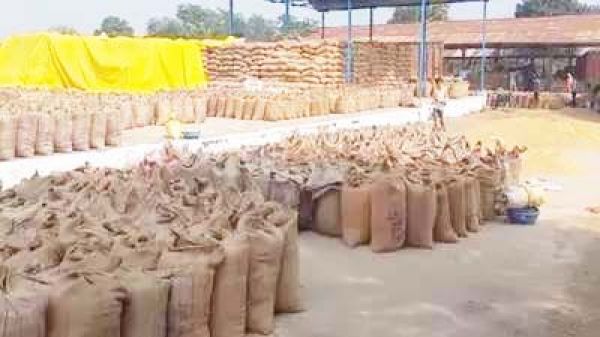 उपार्जन केद्रों में आई सूखत की समस्या