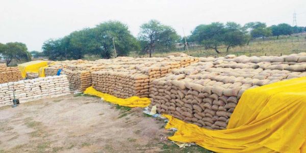 उठाव नहीं, खरीदी केन्द्रों में खुले में पड़ा है धान