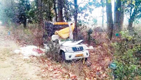 मुर्गियों से भरी गाड़ी टकराई पेड़ से, परिचालक की मौत