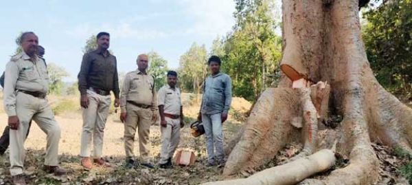 जंगल में कटवाया जा रहा था पेड़, आरा मशीन जब्त