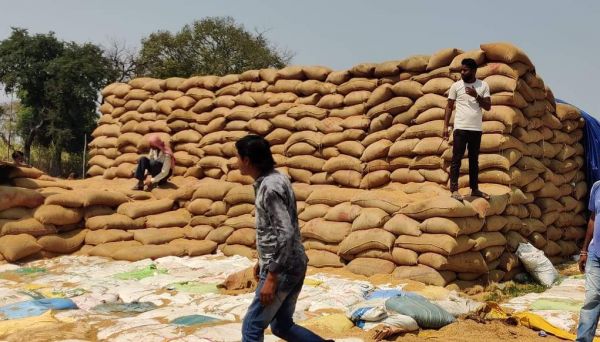 नवागढ़ में हजारों क्विंटल धान जाम