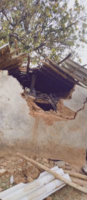 दो हाथियों ने बुजुर्ग दंपत्ति को कुचल मारा, मकान तोड़ा