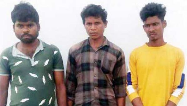  3 ईनामी नक्सली गिरफ्तार