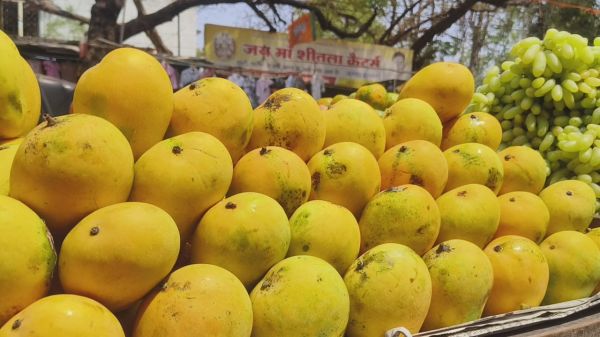 आम इंसान की पहुंच से दूर फलों का राजा आम