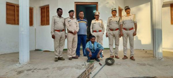 करंट से मादा हाथी को मारा