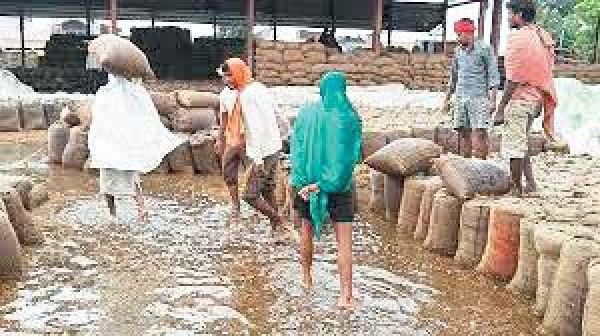 समितियों में 16 लाख क्विंटल धान जाम कई खरीदी केंद्रों में बारिश में भीगा
