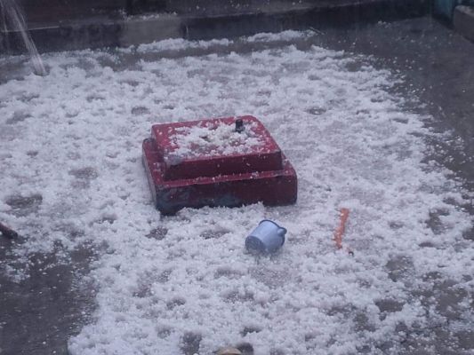 बारिश के साथ ओले गिरे, फसल बर्बाद