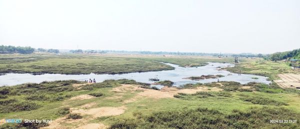 विश्व जल दिवस विशेष: महानदी के अस्तित्व पर मंडरा रहा खतरा, करोड़ों खर्च के बाद भी कोई समाधान नहीं