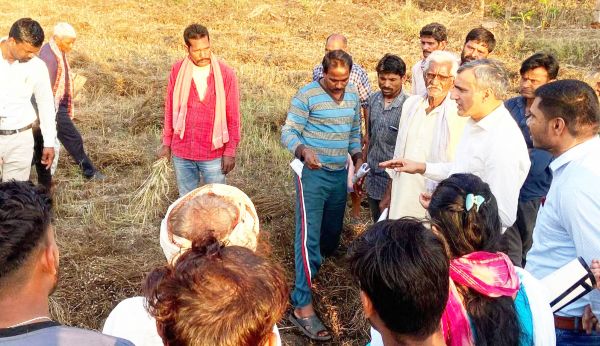 ओलावृष्टि और बेमौसम बारिश से फसल नुकसान का आंकलन