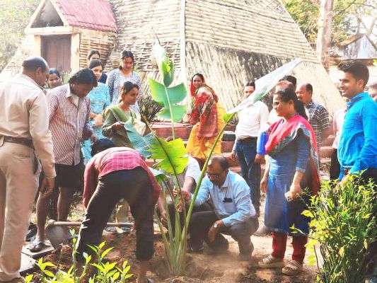 पौधरोपण कर मनाया अंतरराष्ट्रीय वन दिवस  