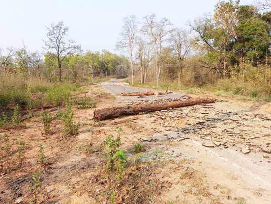 नारायणपुर में नक्सलियों ने खोदी सडक़, लगाए बैनर-पोस्टर, किया विरोध