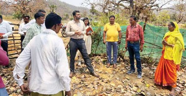 किसानों के उत्पादन को दें बाजार - कलेक्टर
