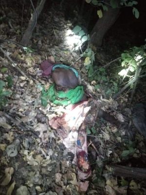 पूर्व सरपंच को हाथी  ने कुचल मारा