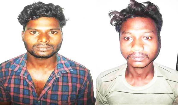 जंगल के रास्ते मवेशियों को बूचडख़ाने ले जाते 2 तस्कर बंदी 