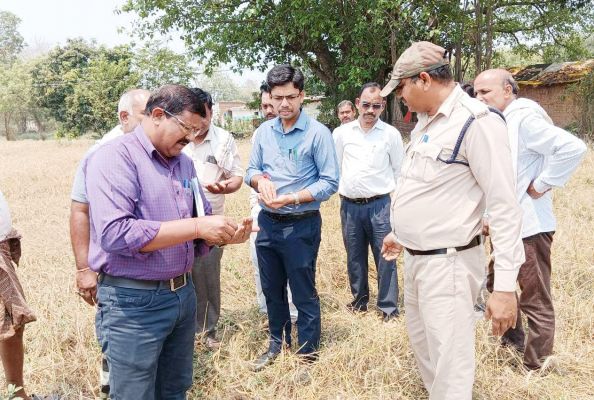 एसडीएम ने खेत में जाकर फसल क्षति का आंकलन किया