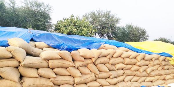 उपार्जन केन्द्रों में धान उठाव की सुस्त चाल