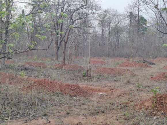 सुकमा वन मंडल विभाग के रेंजर द्वारा भ्रष्टाचार हद की सीमा पार