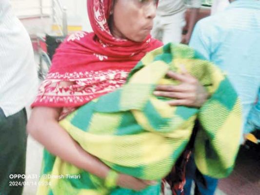 महुआ बीनने तिरपाल लगाकर सो रहे परिवार पर हाथी का हमला, आठ माह की बच्ची सहित तीन घायल