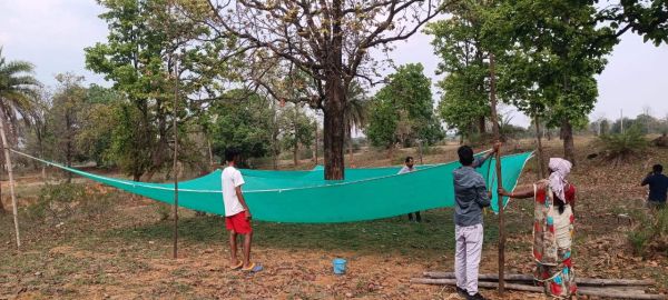 अब झारखंड के सिमडेगा में घुलेगी महुआ की मिठास