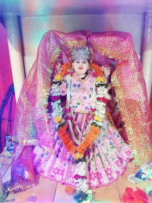 नवरात्रि धूमधाम से मनी