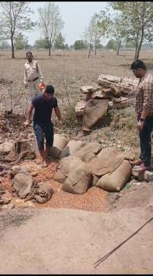 छापामार कार्रवाई में अवैध महुआ शराब व लाहन जब्त  