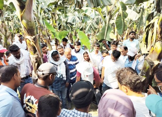 केले की उन्नत फसल पर प्रशिक्षण
