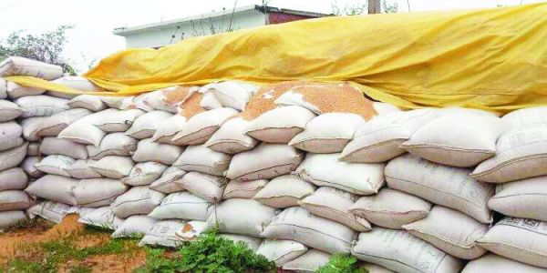 धूप-बारिश से उपार्जित धान हो रहा खराब