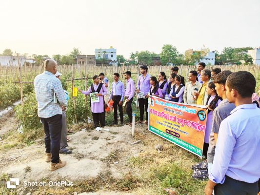 केएल उद्यानिकी महाविद्यालय के छात्रों ने कीट नियंत्रण की भौतिक विधियों पर दिया जोर 