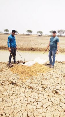 दो जगह दबिश, महुआ पास बरामद